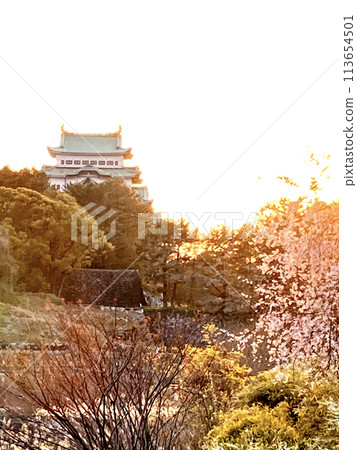 建設名古屋城 113654501