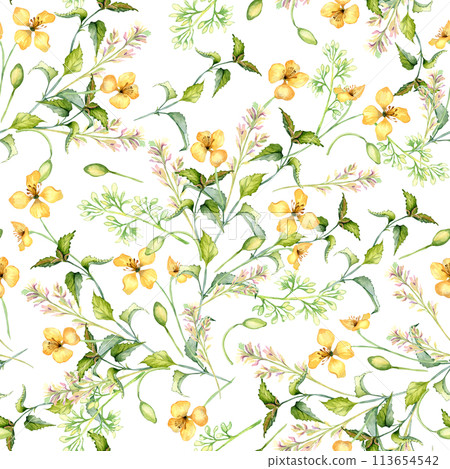 Yellow medicinal flowers, nettle in watercolor seamless pattern isolated on white. Celandine and urtica dioica in sketch. Medicinal plant, floral print hand drawn. Design for label, package, postcard 113654542