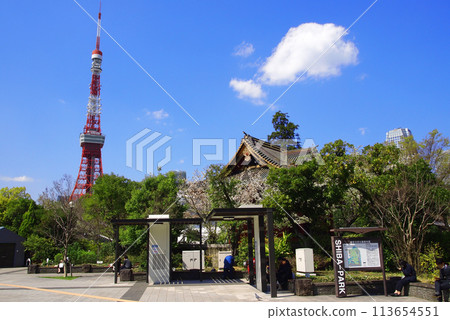 從Shiba公園看的東京鐵塔 從Shiba公園看的東京鐵塔 113654551