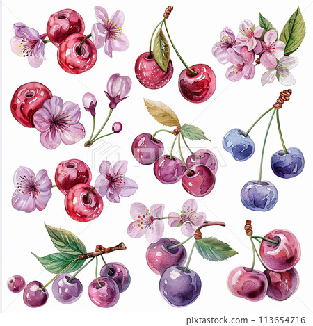 Charming watercolor pack showcasing cherry fruit, single flowers, and elements in soft pastel hues on a white background. Ideal for adding a whimsical touch to designs 113654716