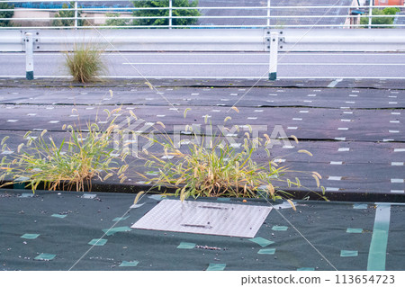 A photo of a weed control sheet installed outdoors. 113654723