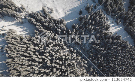 Top dowm mountain village at snow fir forest aerial. Nobody nature landscape at winter sunny day. Sun over conifer trees. Cottages at snowy valley. Frost Carpathian mount, Bukovel, Ukraine, Europe 113654745