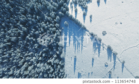 Top down aerial of snow mountain. Pine trees forest at road. Nobody nature landscape at winter day. Sun fir wood at snowy valley. Travel, tourism scenery. Carpathian mount, Bukovel, Ukraine, Europe Top down aerial of snow mountain. Pine trees forest at road. Nobody nature landscape at winter day. Sun fir wood at snowy valley. Travel, tourism scenery. Carpathian mount, Bukovel, Ukraine, Europe 113654748