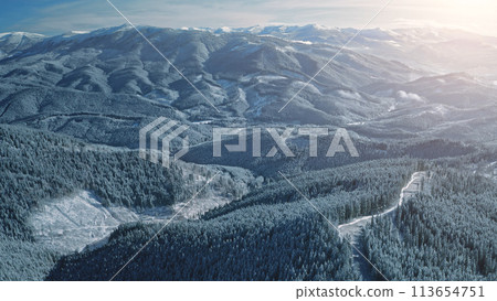 Aerial sunrise over snow mountain ranges. Winter nobody nature landscape. Spruce forest at mount. Fir trees at sun rise light. Unknown snowy Carpathian ridges, Bukovel Resort, Ukraine, Europe 113654751