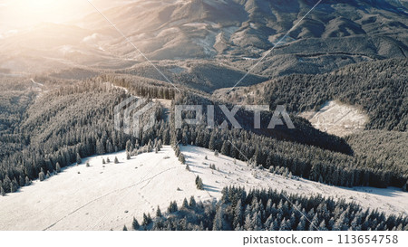Aerial sunrise at snow mountain resort. Sun ski slope for tourist active sport. Winter nobody nature landscape. Spruce forest at mount. Unknown snowy Carpathian ridge, Bukovel Resort, Ukraine, Europe 113654758