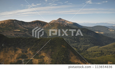 Mountain peak at green grass, forest aerial closeup. Nobody nature landscape. Rock hills at greenery plants. Spruce woodland at sunny autumn day. Cinematic Carpathians mount ranges, Ukraine, Europe Mountain peak at green grass, forest aerial closeup. Nobody nature landscape. Rock hills at greenery plants. Spruce woodland at sunny autumn day. Cinematic Carpathians mount ranges, Ukraine, Europe 113654836