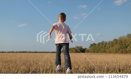 boy child running across field playing airplane flight dream, imagination soaring kid, fantasy play nature, kid winged sprint, child explorer outside, playful running boy, summer child game, outdoor boy child running across field playing airplane flight dream, imagination soaring kid, fantasy play nature, kid winged sprint, child explorer outside, playful running boy, summer child game, outdoor 113654879