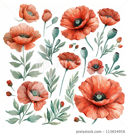 Striking watercolor illustrations of red poppies with pastel accents, ideal for creating bold yet charming designs for posters, packaging, and textiles. 113654958
