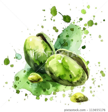 Watercolor art of pistachio nuts amidst a lively splash of green Watercolor art of pistachio nuts amidst a lively splash of green 113655176