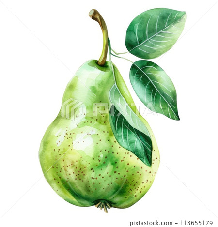 A sumptuous watercolor illustration of a ripe pear A sumptuous watercolor illustration of a ripe pear 113655179