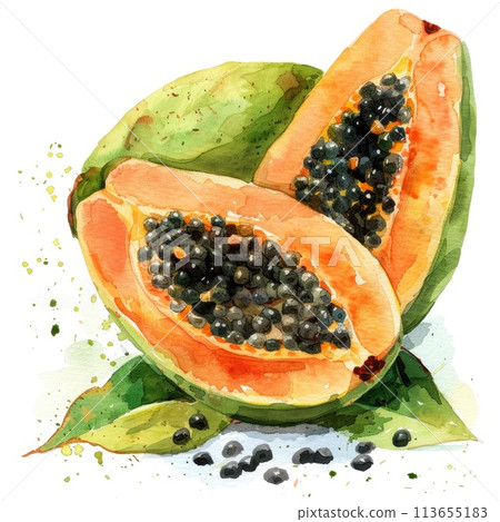 A watercolor illustration of a freshly cut papaya A watercolor illustration of a freshly cut papaya 113655183