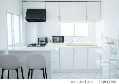 Kitchen Kitchen 113655190