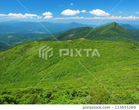 Mikomiyake的前景 113655269