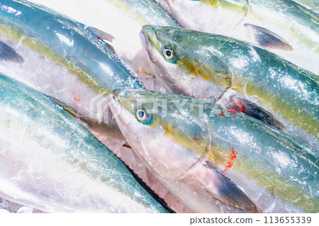 在魚市場上出售的魚的圖片 在魚市場上出售的魚的圖片 113655339