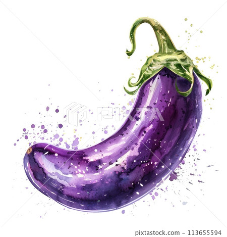 A watercolor illustration of an eggplant, with splashes of purple and green A watercolor illustration of an eggplant, with splashes of purple and green 113655594