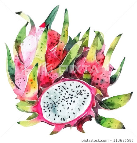 A watercolor illustration of dragon fruit, with one half cut to reveal the speckled interior 113655595