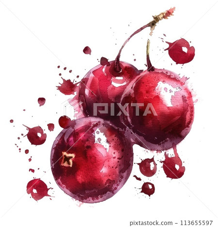 A dynamic watercolor artwork of cranberries with vibrant splashes A dynamic watercolor artwork of cranberries with vibrant splashes 113655597