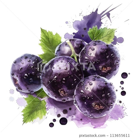 Vibrant watercolor blackcurrants burst with color and life 113655611