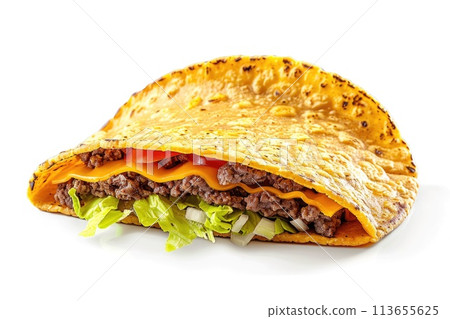 Fresh Grilled Chicken Tortilla Wrap with Vegetables and Cheese 113655625