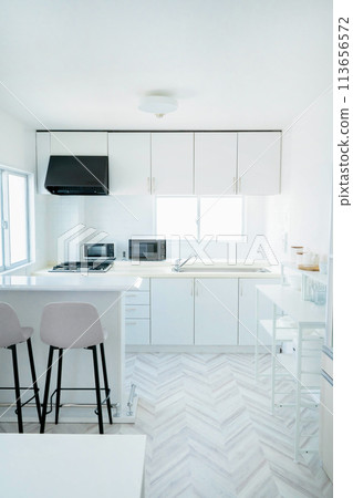 Kitchen Kitchen Kitchen Kitchen 113656572