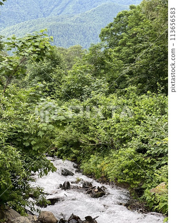 walk in the mountains on a sunny summer day, waterfall 113656583