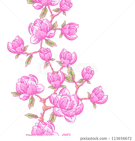 Pattern with magnolia flowers. Beautiful decorative plants. 113656672