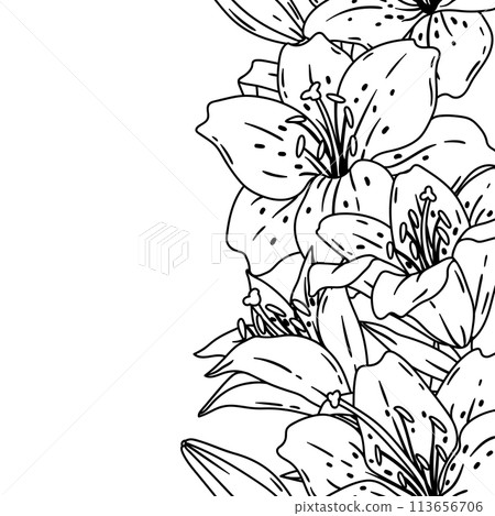 Pattern with lilies flowers. Beautiful decorative plants. Pattern with lilies flowers. Beautiful decorative plants. 113656706