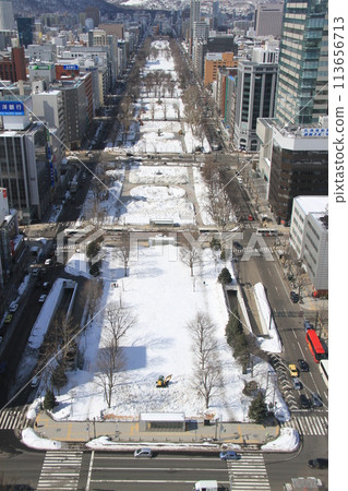 Odori Park in winter as seen from Sapporo TV Tower Odori Park in winter as seen from Sapporo TV Tower 113656713