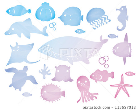 Sea creatures frame set Sea creatures frame set 113657018