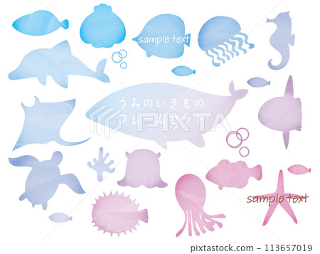 水彩海洋生物 113657019