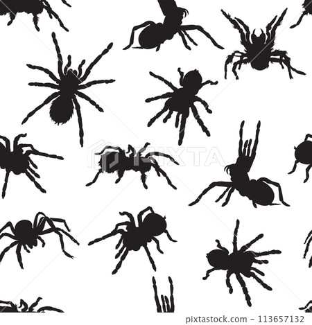 spider, tarantula, insect, various poses, movements and foreshortenings of figures, black, white, pattern 113657132