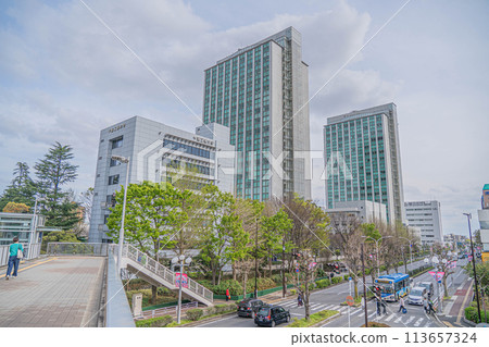 Chiba Institute of Technology Chiba Institute of Technology 113657324