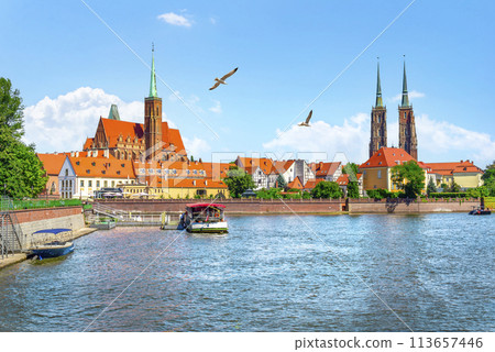 Birds over Odra Birds over Odra 113657446