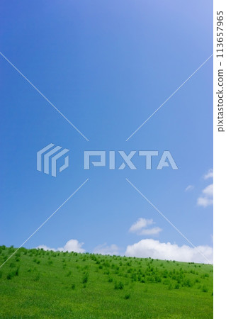 【北海道】清爽的藍天與草原 113657965