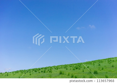 【北海道】清爽的藍天與草原 【北海道】清爽的藍天與草原 113657968