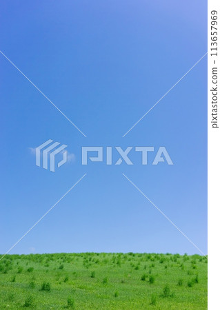 【北海道】清爽的藍天與草原 【北海道】清爽的藍天與草原 113657969