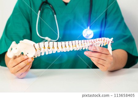 Doctor neurosurgeon holds a model of the spine in his hands. The concept of treating spinal diseases and intervertebral hernias with surgery, close-up Doctor neurosurgeon holds a model of the spine in his hands. The concept of treating spinal diseases and intervertebral hernias with surgery, close-up 113658405