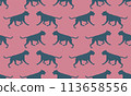Running and jumping german boxer isolated on a 113658556