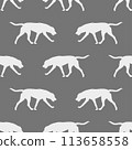 Seamless pattern. Running russian hound isolated 113658558