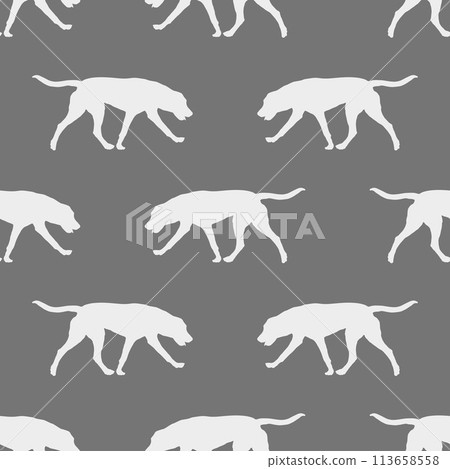 Seamless pattern. Running russian hound isolated Seamless pattern. Running russian hound isolated 113658558