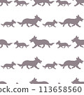 Running pembroke welsh corgi puppy isolated on a 113658560