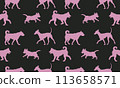 Different dogs in various poses. Isolated on a 113658571