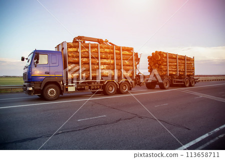 A blue logging truck transports round pine logs against the backdrop of sunset in the evening. Wood import and export concept. Logging as a business, industry 113658711