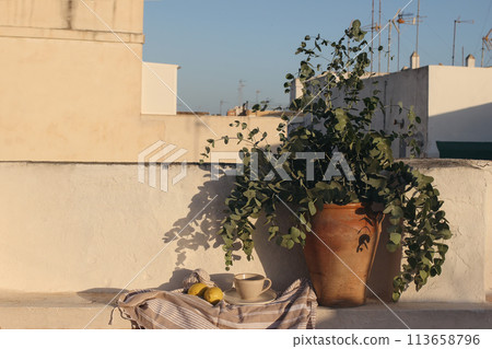 Bouquet of eucalyptus tree branches. Vintage clay pot, vase. Cup of coffee. Beige old wall in sunset light. Fresh yellow lemons fruit. Summer background with light, shadows. Mediterranean design. 113658796