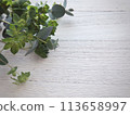 Background with plants 113658997