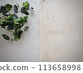 Old book pages with plants 113658998