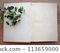 Plants on old books 113659000