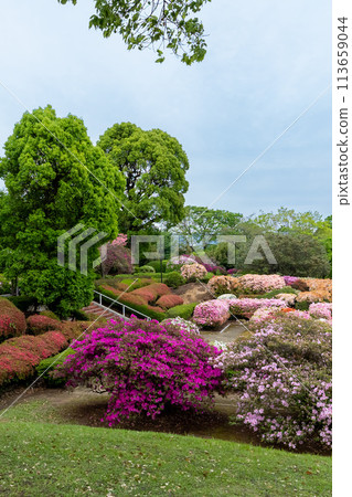 熊本昭和園 熊本昭和園 113659044