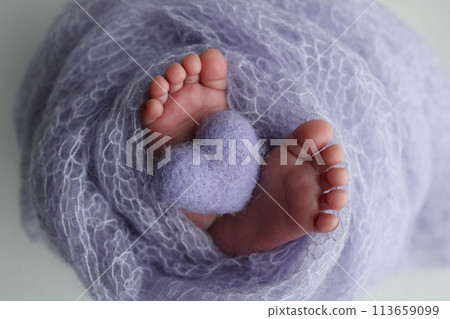 The tiny foot of a newborn baby. Soft feet of a new born in a lilac, purple wool blanket. Close up of toes, heels and feet of a newborn. Knitted purple heart in the legs of a baby. Macro photography. The tiny foot of a newborn baby. Soft feet of a new born in a lilac, purple wool blanket. Close up of toes, heels and feet of a newborn. Knitted purple heart in the legs of a baby. Macro photography. 113659099