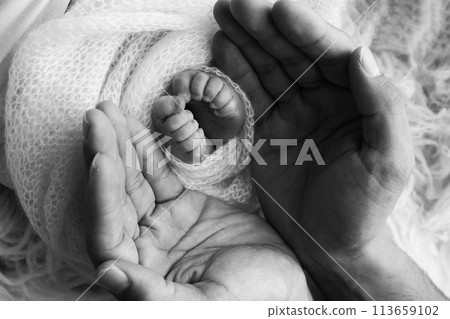 The palms of the father, the mother are holding the foot of the newborn baby. Feet of the newborn on the palms of the parents. Studio macro black and white photo of a child's toes, heels and feet. The palms of the father, the mother are holding the foot of the newborn baby. Feet of the newborn on the palms of the parents. Studio macro black and white photo of a child's toes, heels and feet. 113659102